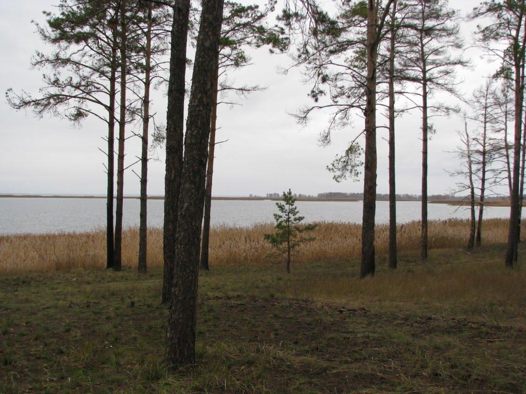 Лошакова Гута з panoramio.com - Лошакова Гута