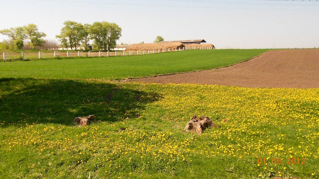 Вернигородок з panoramio.com - Vernygorodok