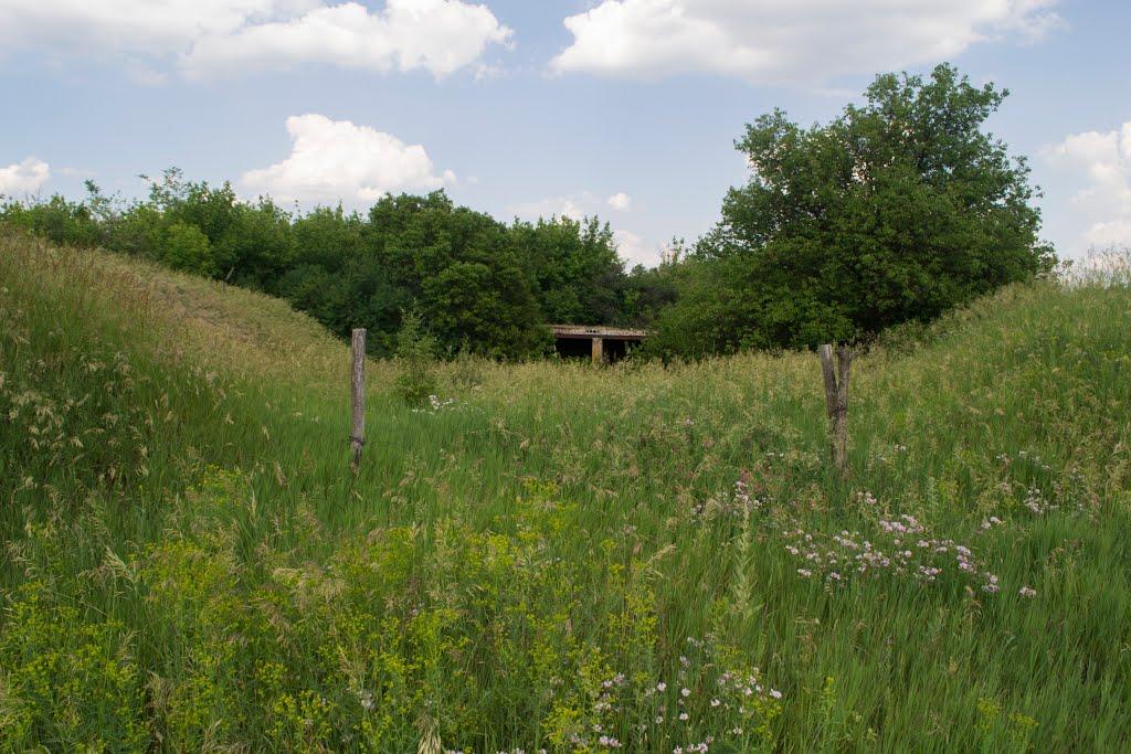 Ракшівка з panoramio.com - Ракшивка