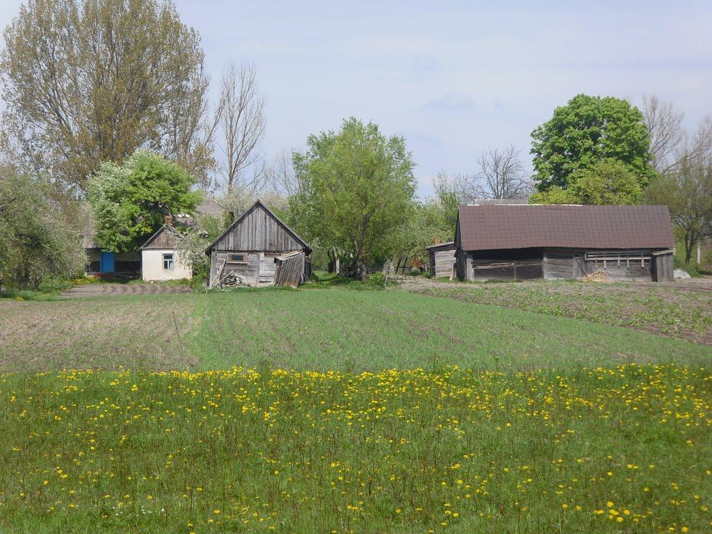 Чмикос з panoramio.com - Чмикос