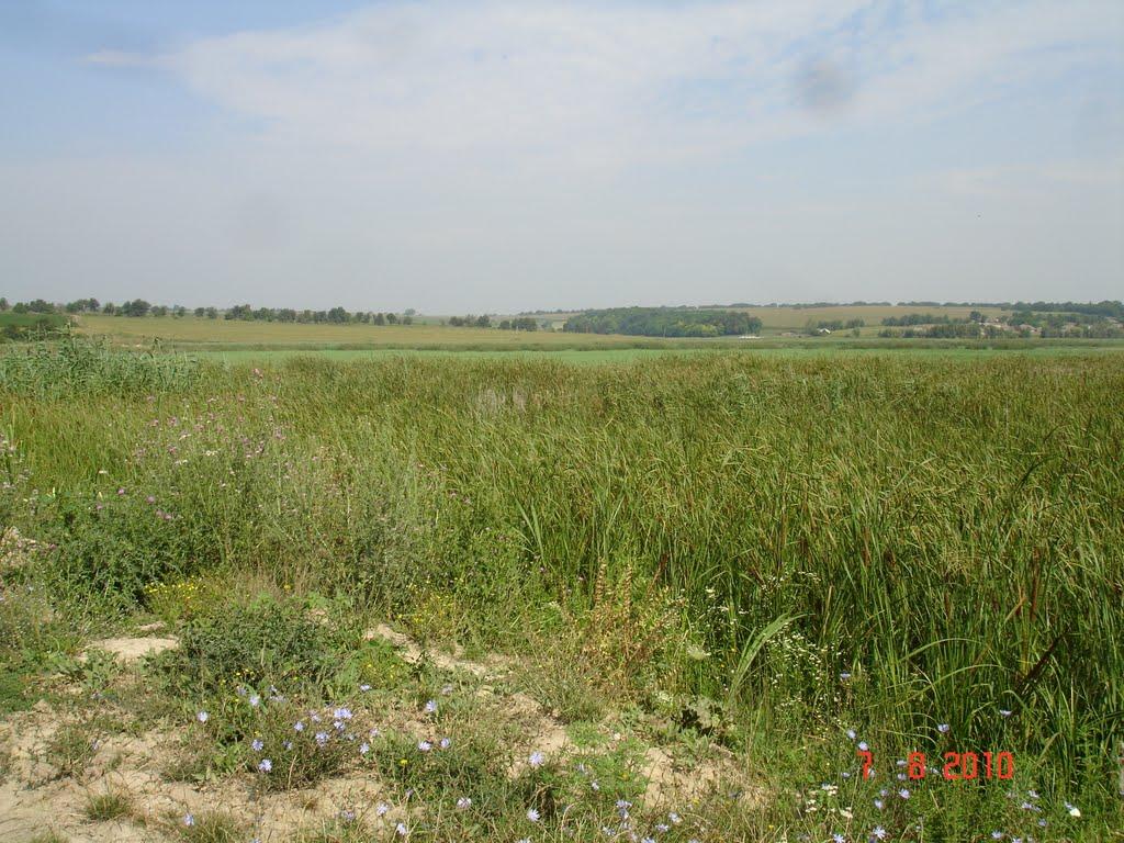 Шишківці з panoramio.com - Шишківці