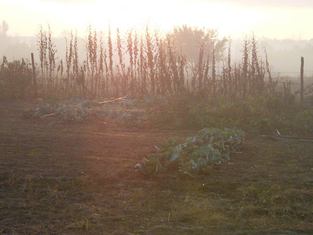 Лупареве з panoramio.com - Лупареве