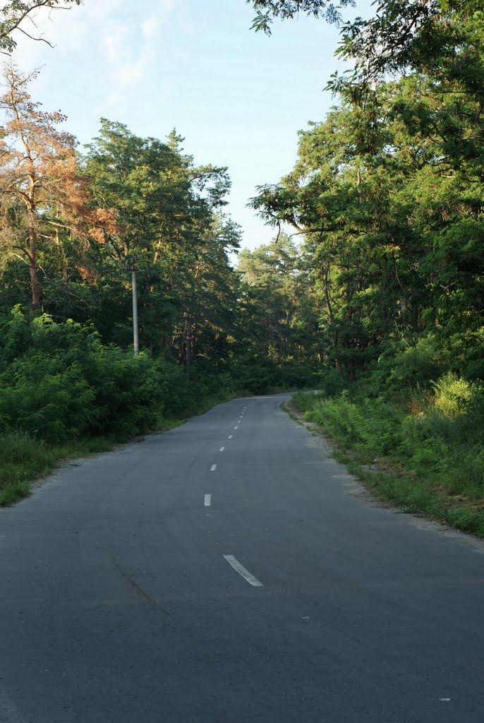 Мохнач з panoramio.com - Мохнач