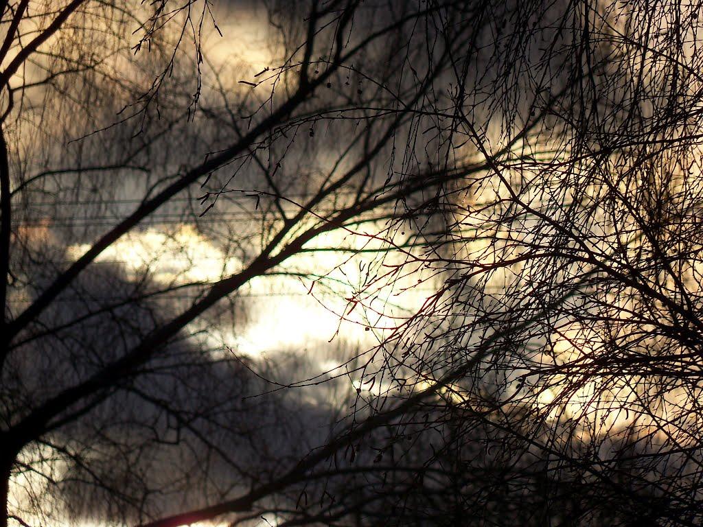 Подвірки з panoramio.com - Подворки