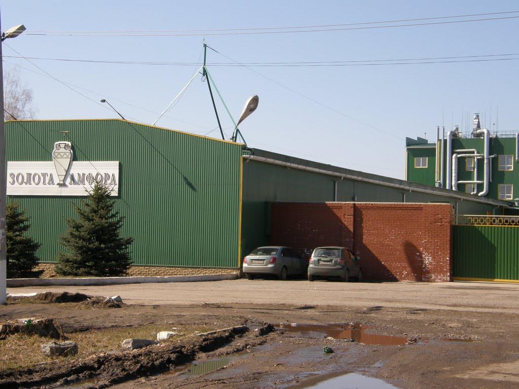 Синельникове з panoramio.com - Синельникове