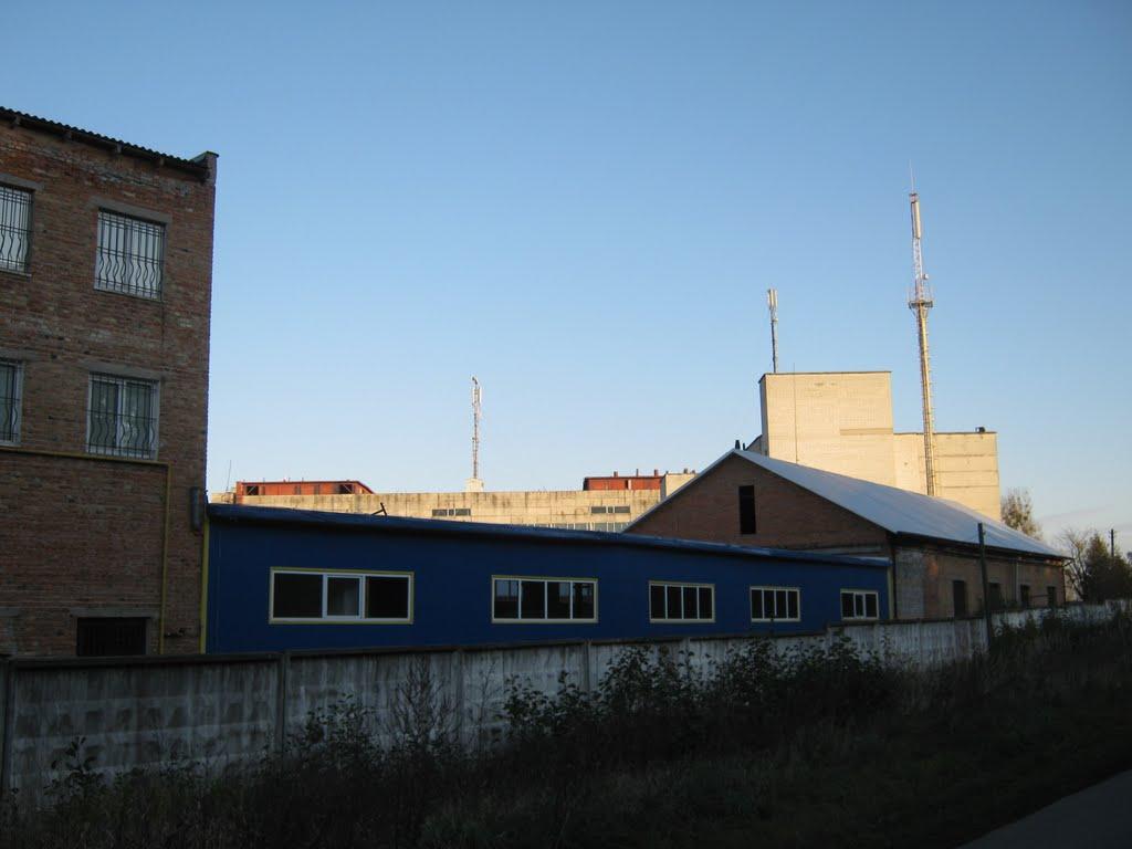 Великі Мости з panoramio.com - Великі Мости