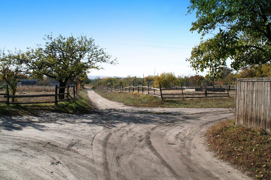 Новоселівка з panoramio.com - Novoselivka