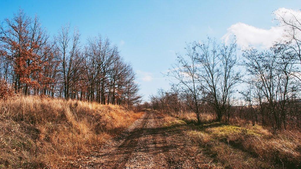 Катеринка з panoramio.com - Катеринка