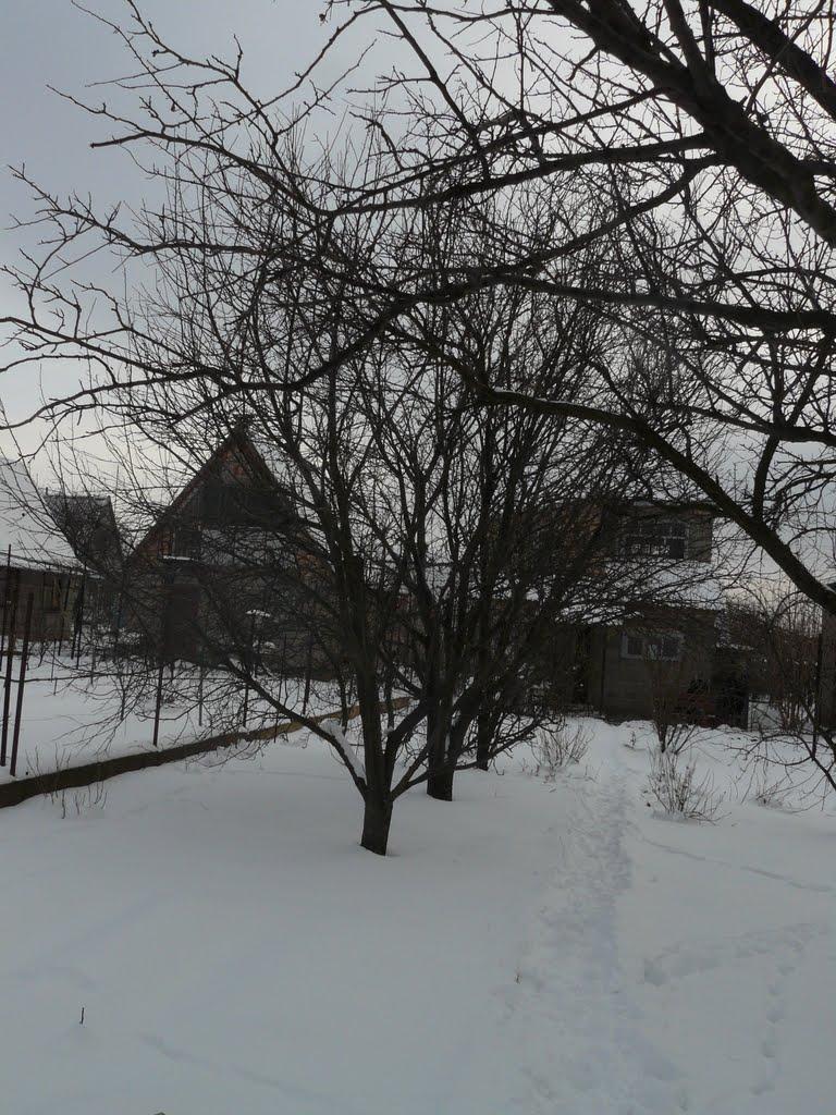 Плавні з panoramio.com - Плавні
