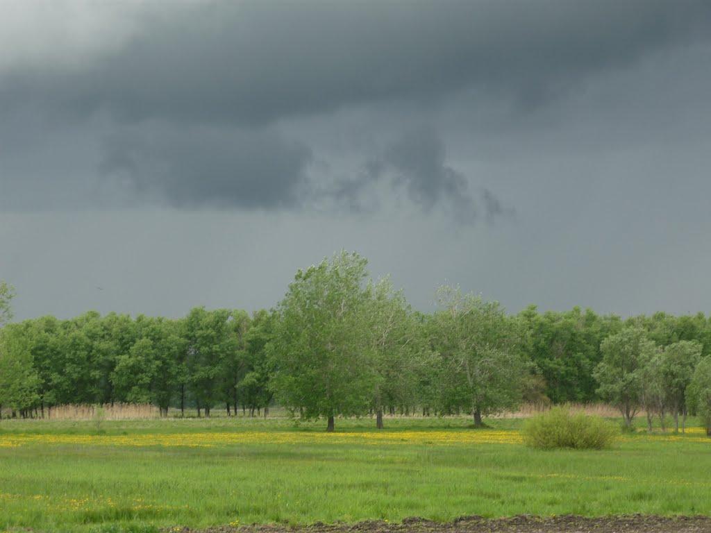 Вільне з panoramio.com - Вільне