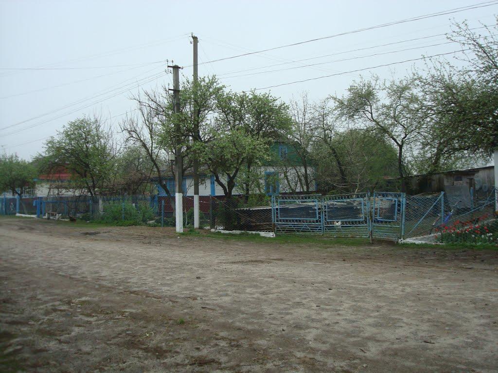 Дроздні з panoramio.com - Дроздни