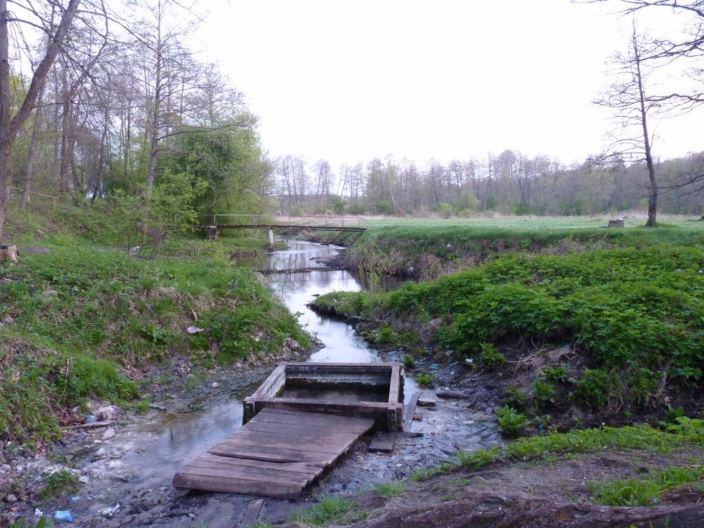 Пиротчине з panoramio.com - Пиротчине