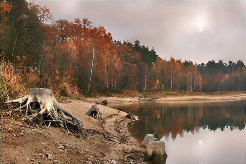 Буки з panoramio.com - Буки