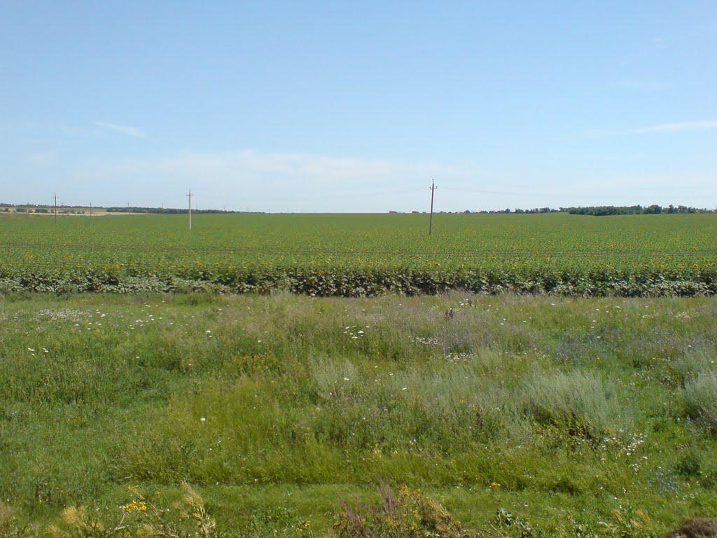 Луначарське з panoramio.com - Азовское