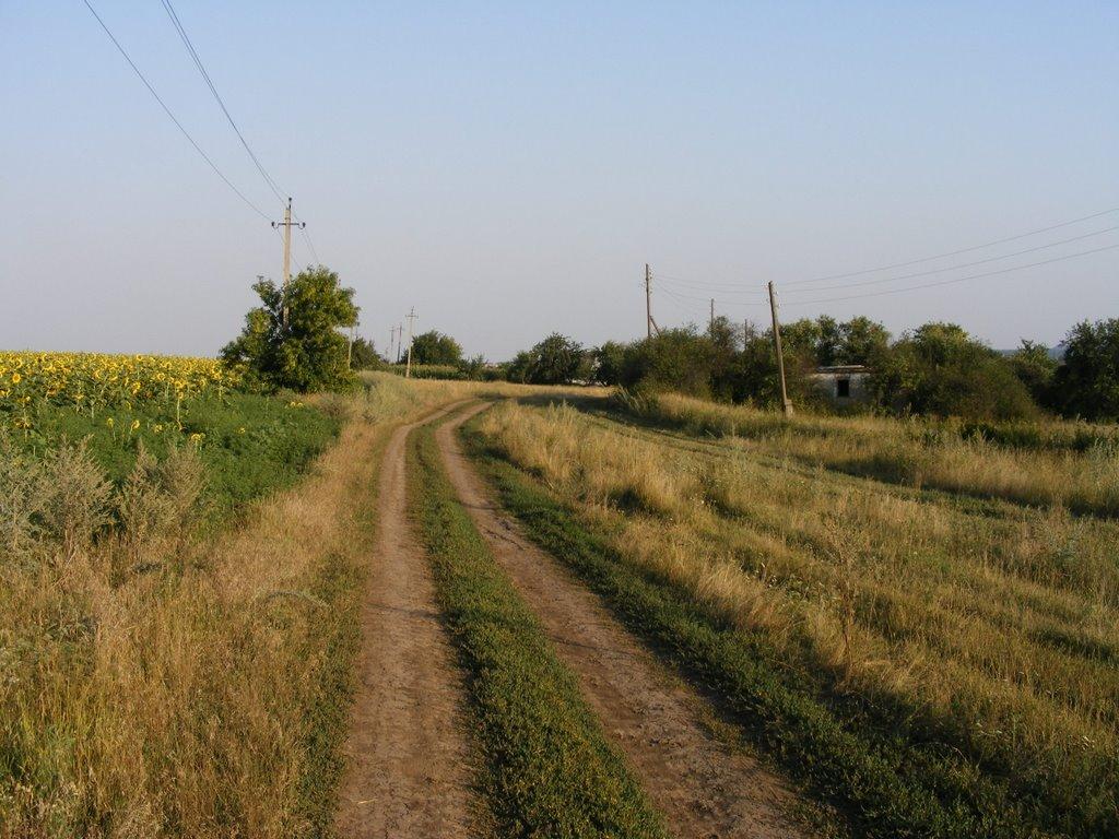 Лозове з panoramio.com - Лозовое
