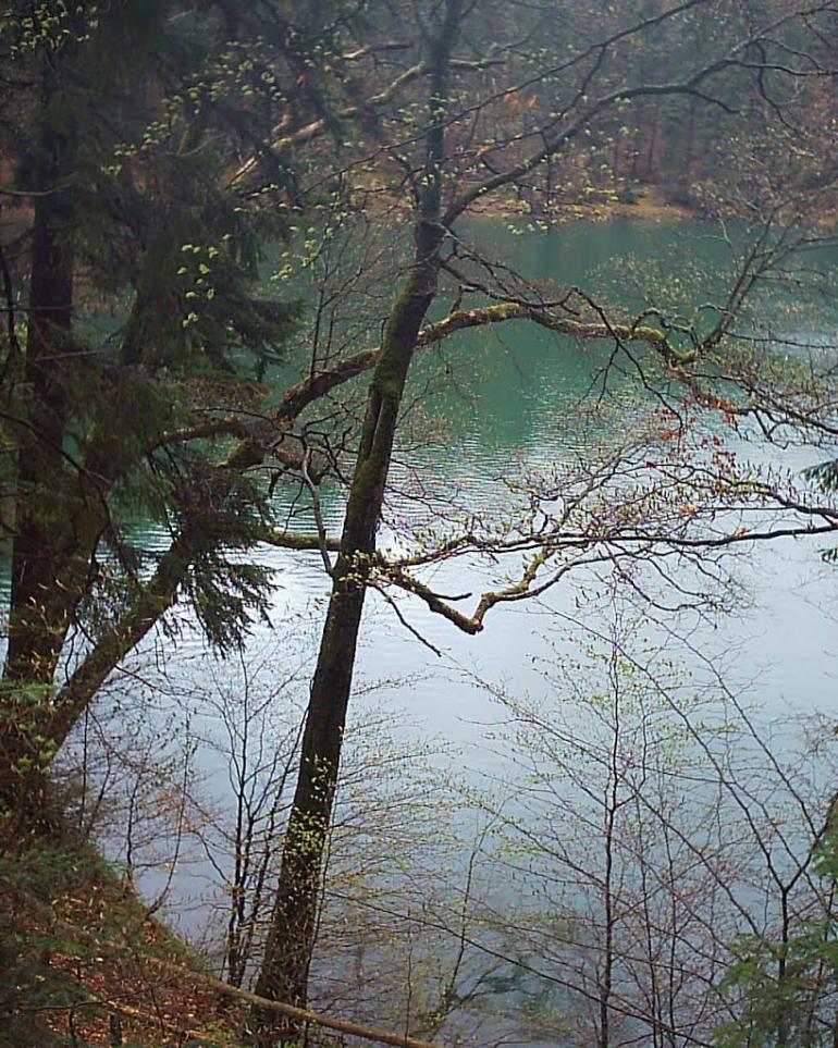 Синевир з panoramio.com - Синевир