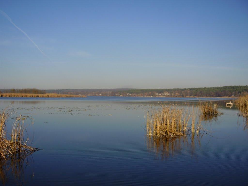 Неморож з panoramio.com - Неморож