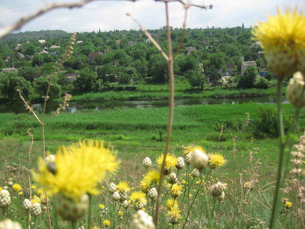 Вільне з panoramio.com - Вольное