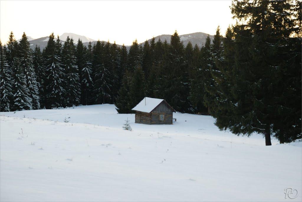 Береги з panoramio.com - Береги