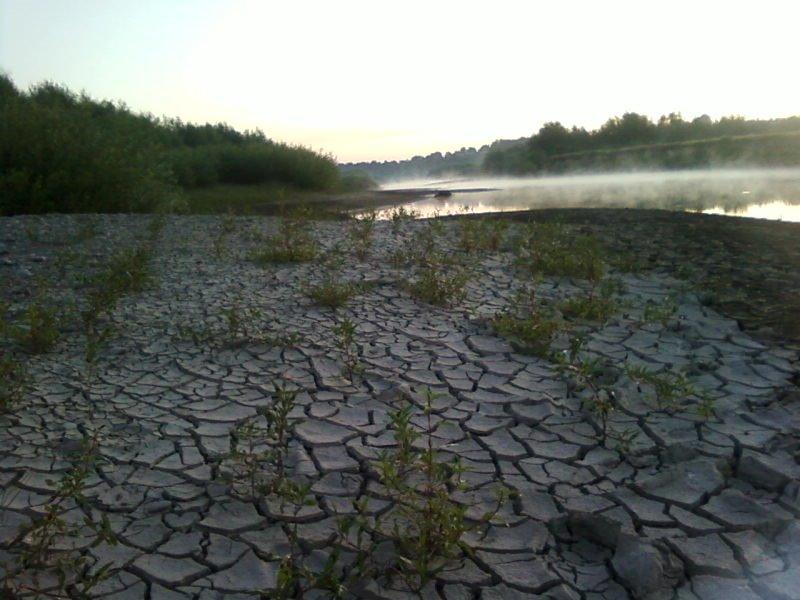 Тенетники з panoramio.com - Тенетники