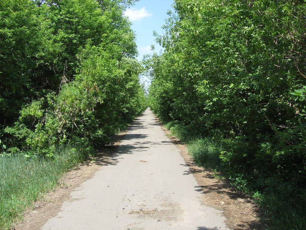 Ракшівка з panoramio.com - Ракшивка