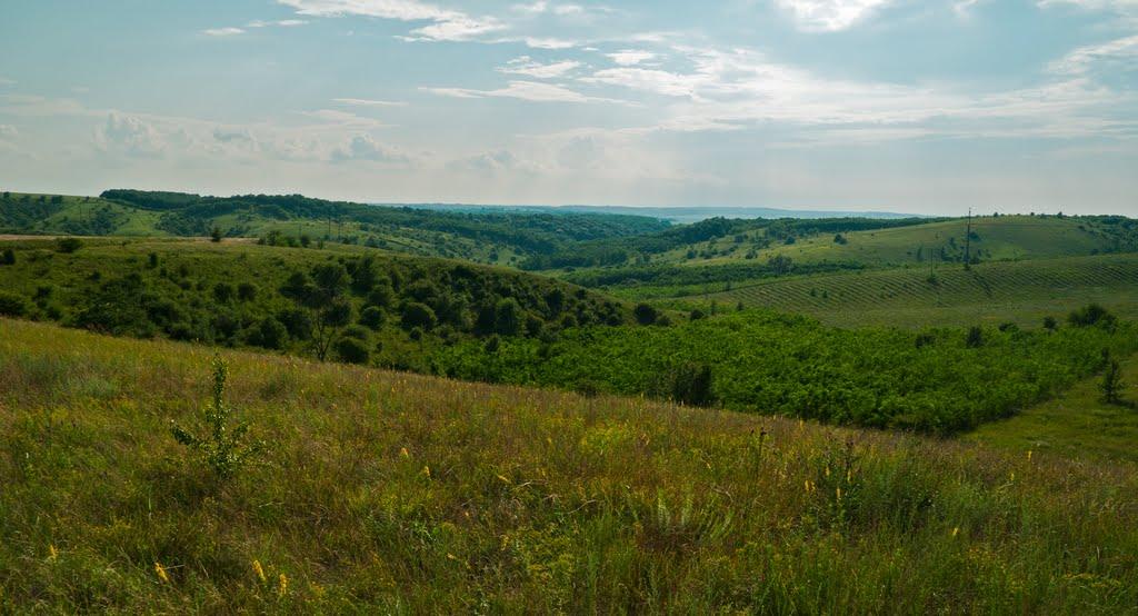 Кам'яні Потоки з panoramio.com - Каменные Потоки