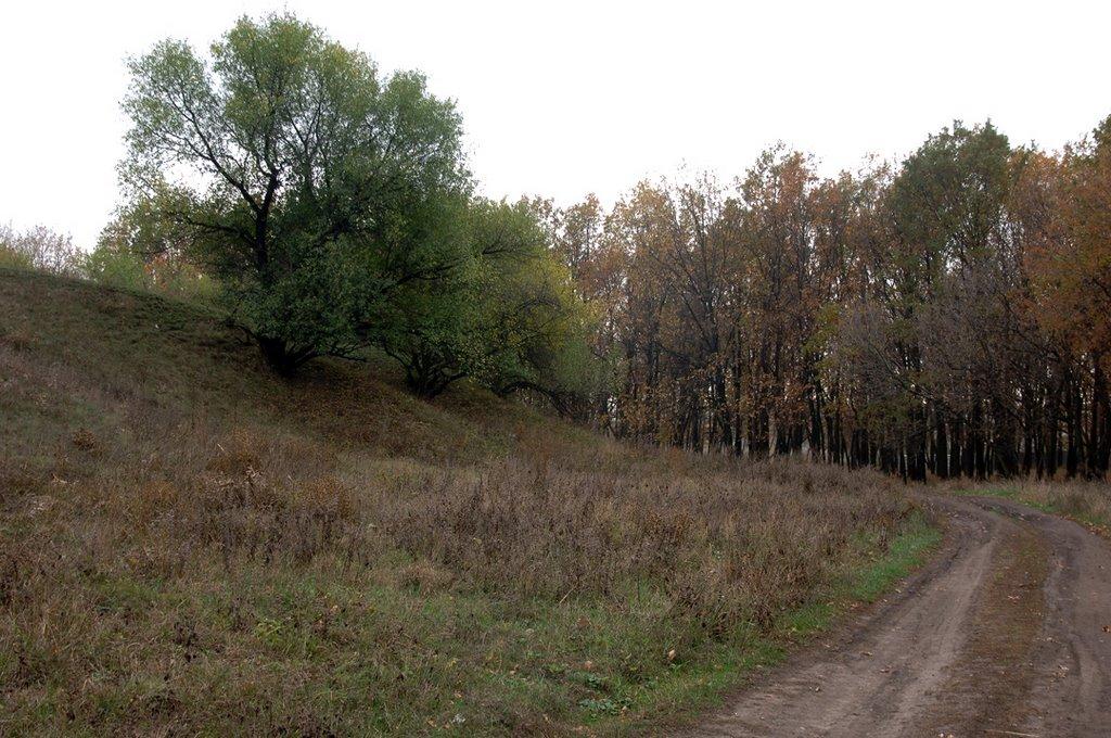 Кремінець з panoramio.com - Кременец