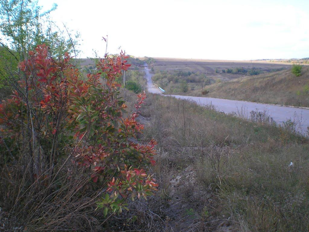 Золотий Колодязь з panoramio.com - Золотой Колодезь