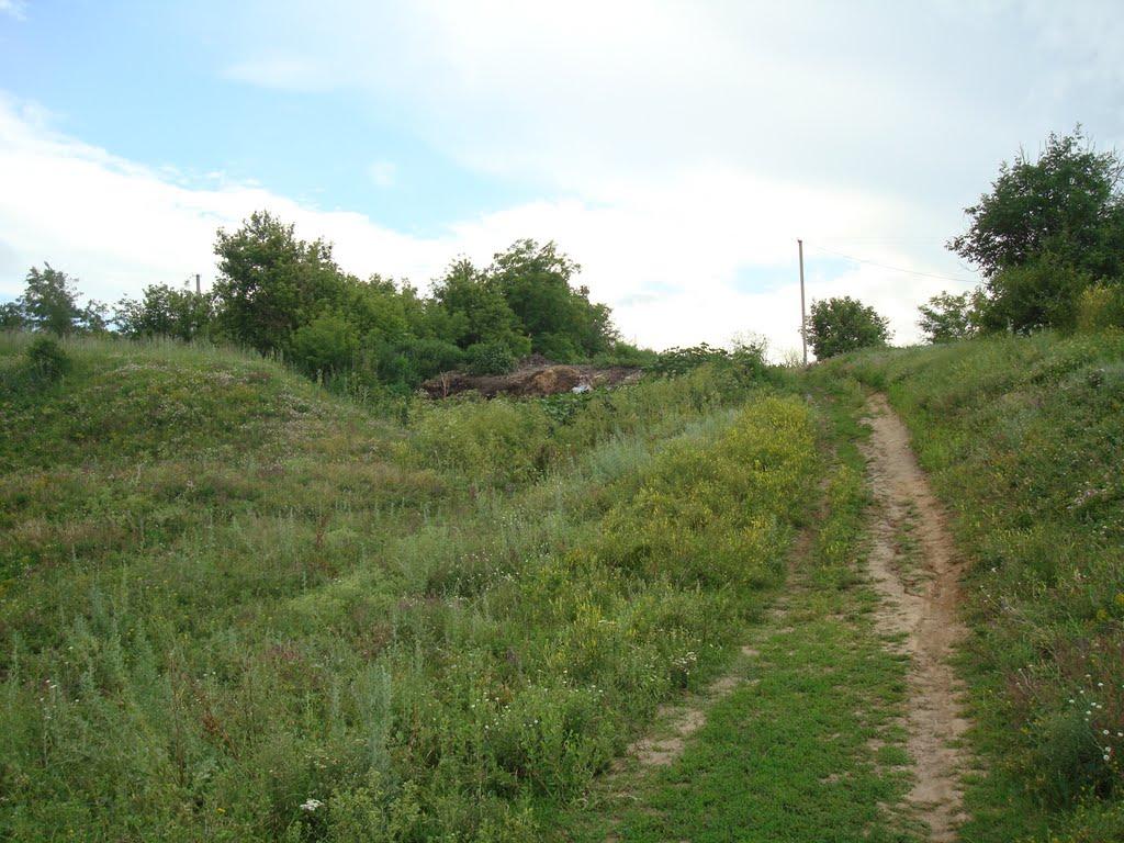 Побузьке з panoramio.com - Побугское