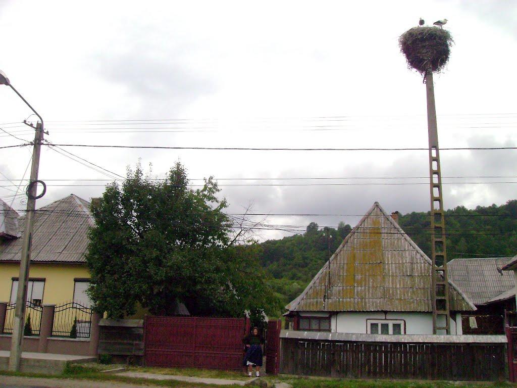 Біла Церква з panoramio.com - Біла Церква