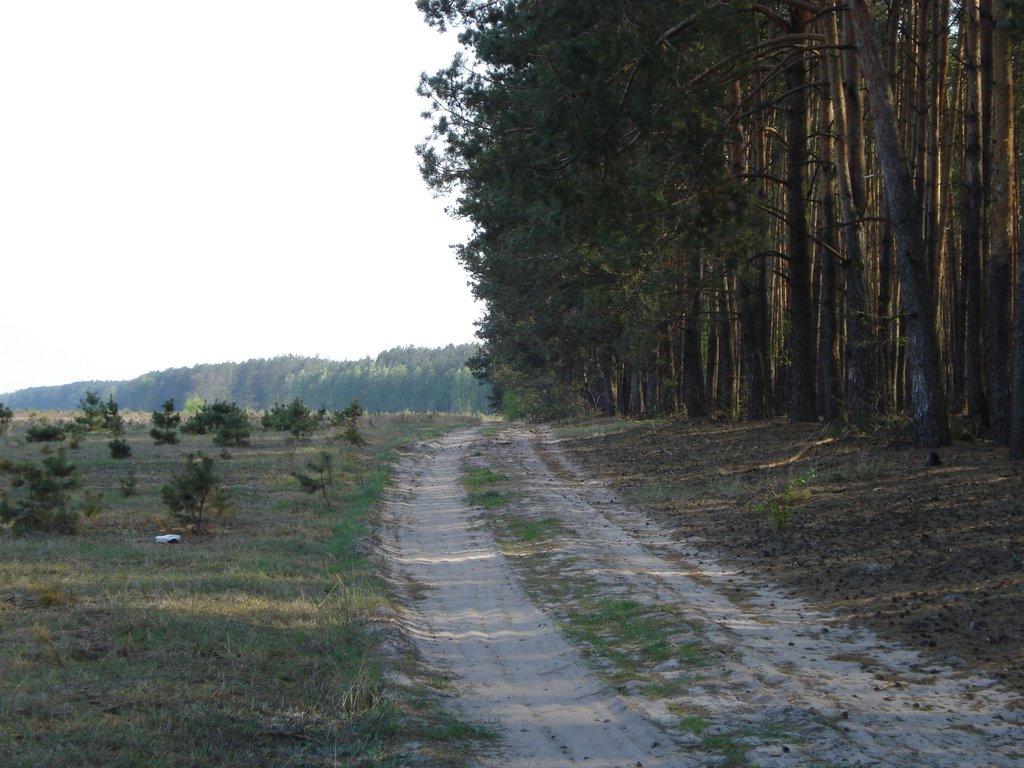 Ніжиловичі з panoramio.com - Ніжиловичі