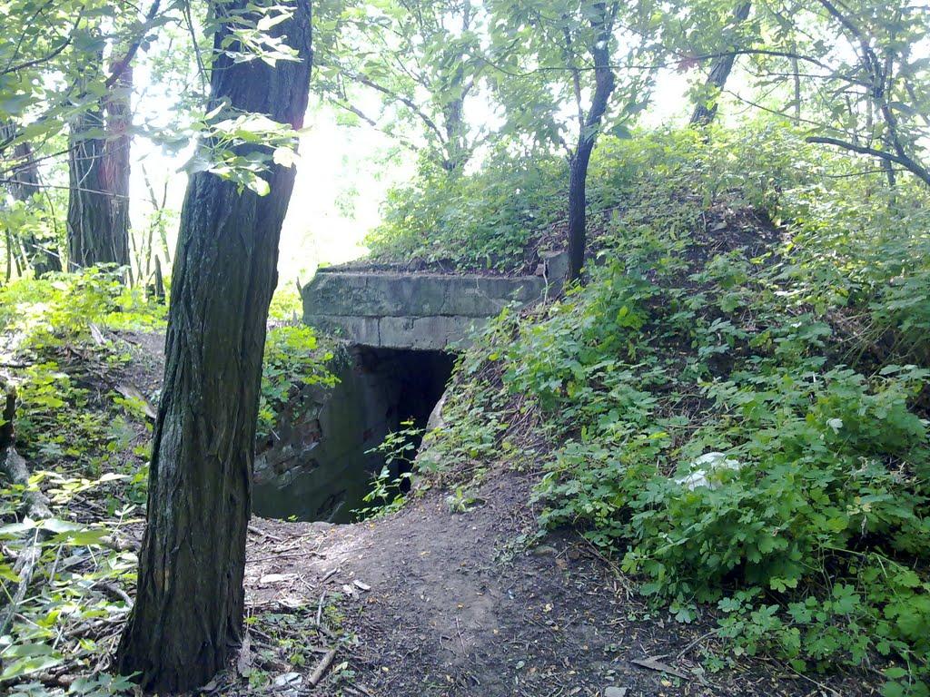 Ракшівка з panoramio.com - Ракшивка