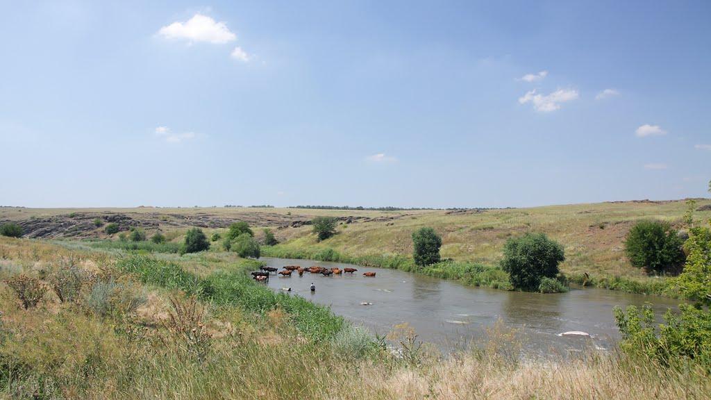 Красний Октябр з panoramio.com - Krasnyy Oktyabr