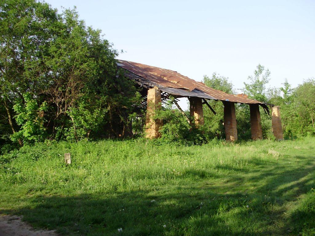 Черниця з panoramio.com - Черниця