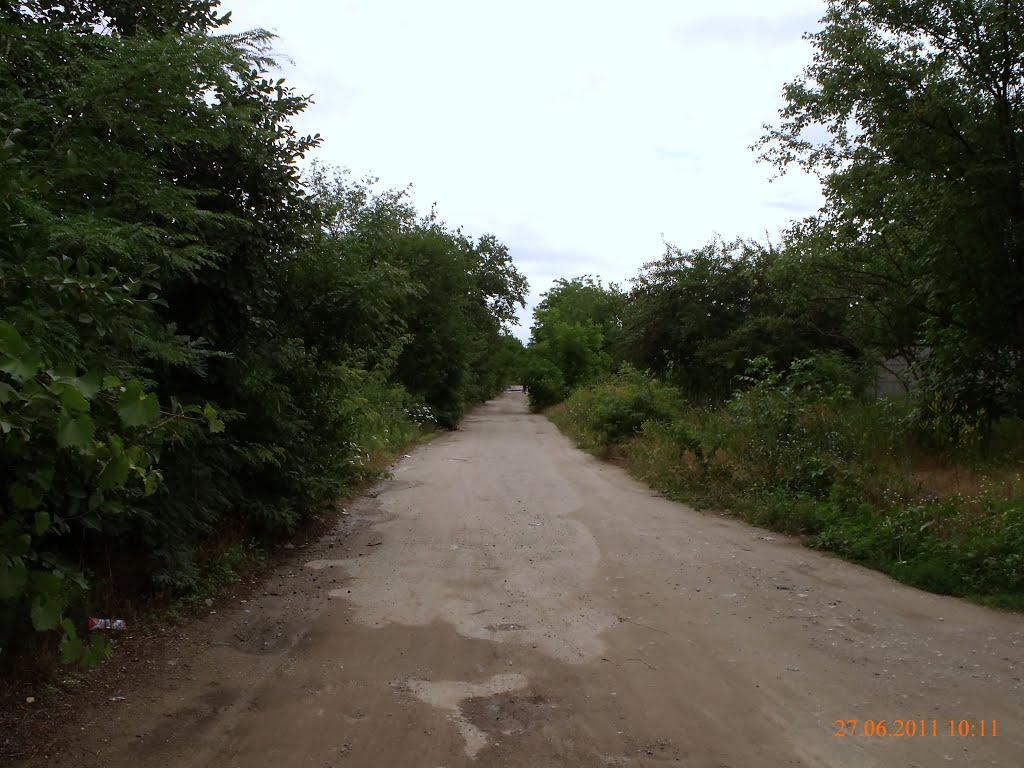 Вільноандріївка з panoramio.com - Вольноандреевка