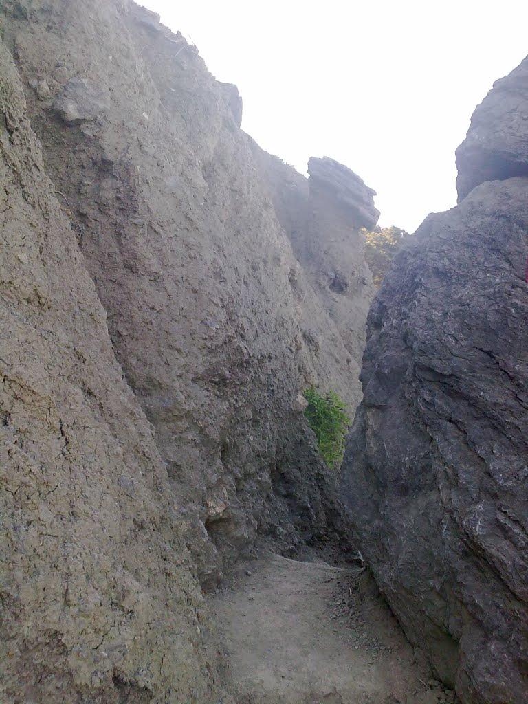 Долина з panoramio.com - Долина