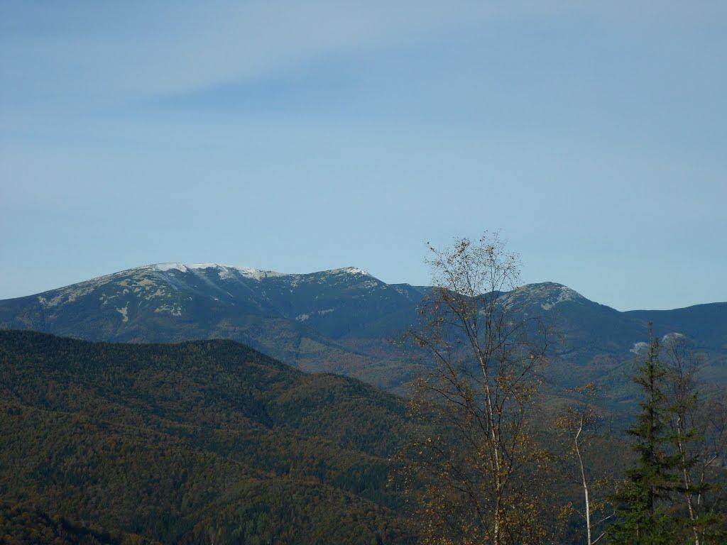 Гута з panoramio.com - Гута