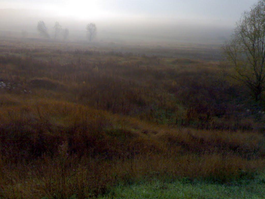 Вовчоярівка з panoramio.com