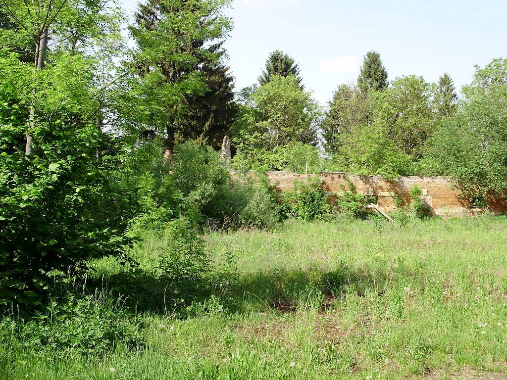 Черниця з panoramio.com - Черниця