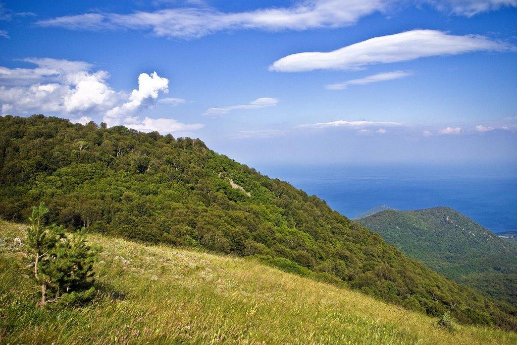 Розовий з panoramio.com (ч.2) - Розовий