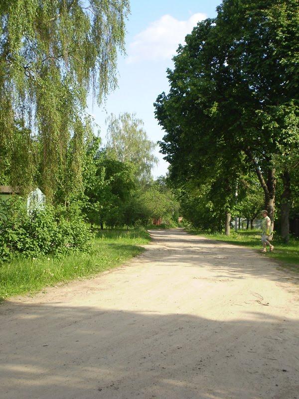 Чернігів з panoramio.com (ч.5) - Чернігів