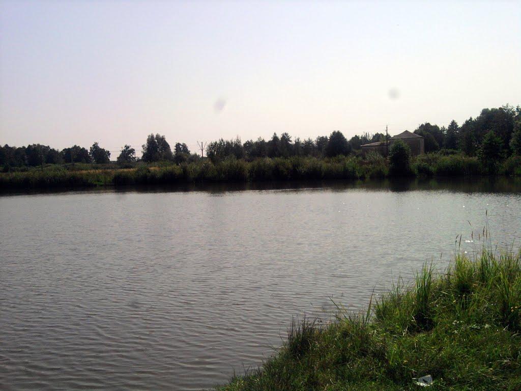 Рихальське з panoramio.com - Рихальське