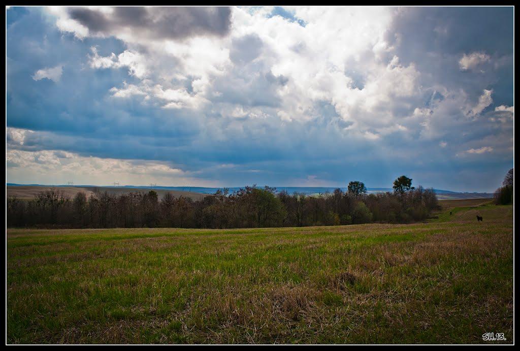 Великі Сади з panoramio.com - Великі Сади