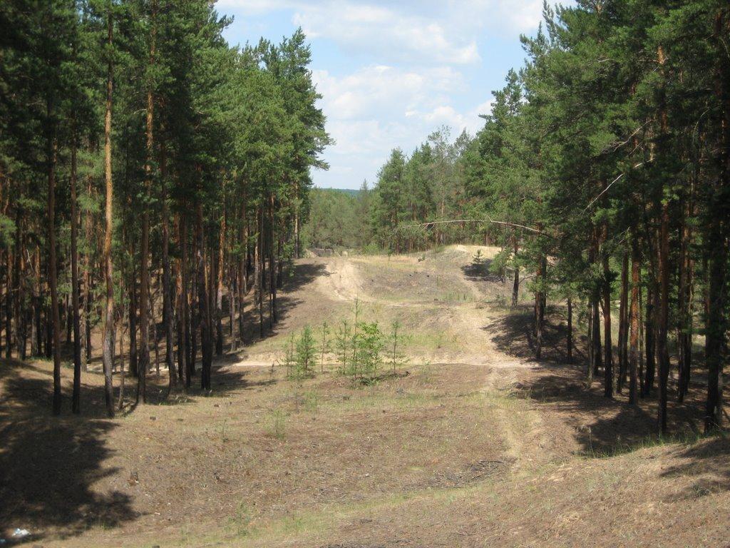 Піски-Радьківські з panoramio.com - Піски-Радьківські
