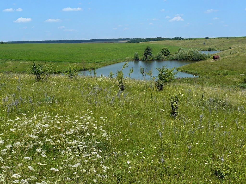 Сніжки з panoramio.com - Snizhky