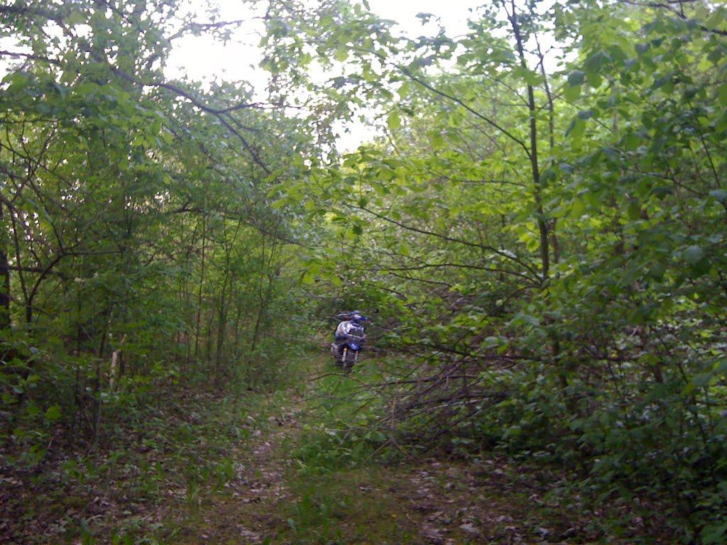 Дацьки з panoramio.com - Дацьки