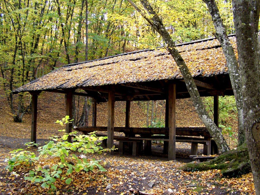 Чайковське з panoramio.com (ч.2) - Чайковское