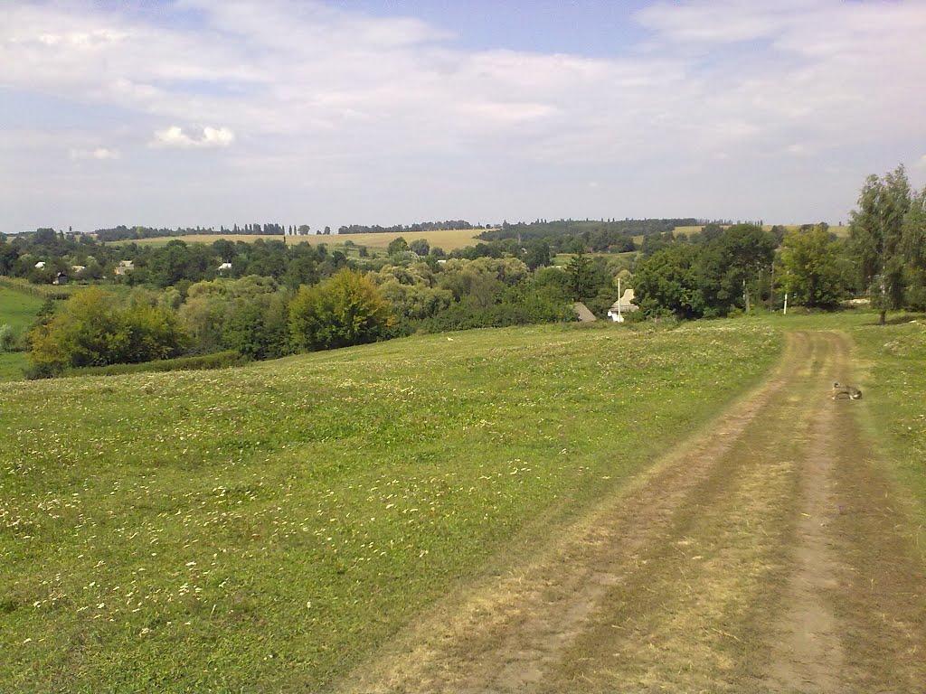 Черемошне з panoramio.com - Черемошне