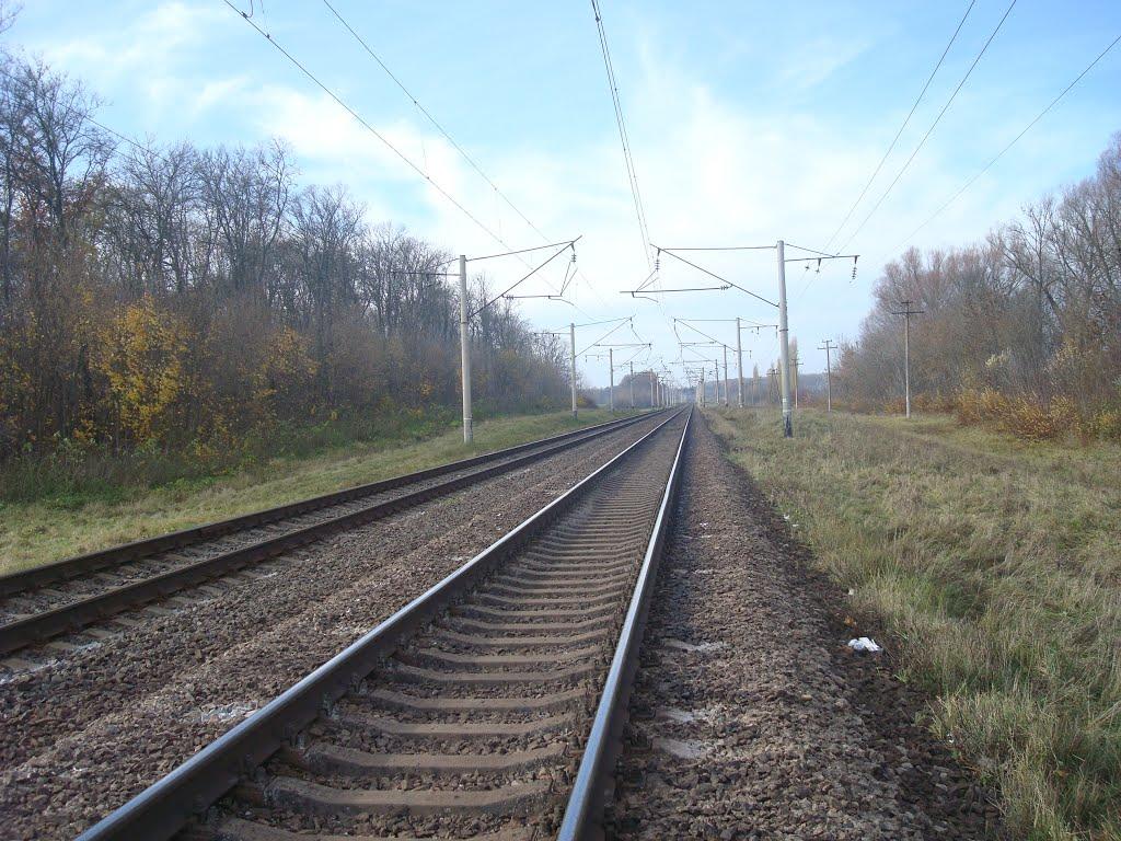 Грузевиця з panoramio.com - Грузевиця