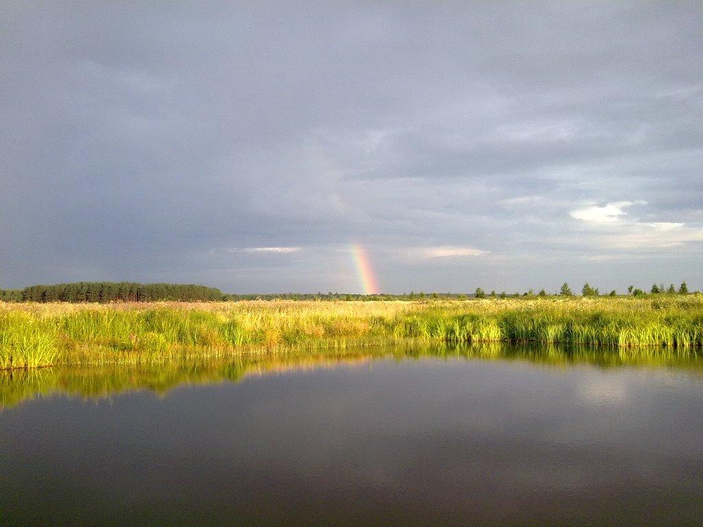 Ніжиловичі з panoramio.com - Нежиловичи